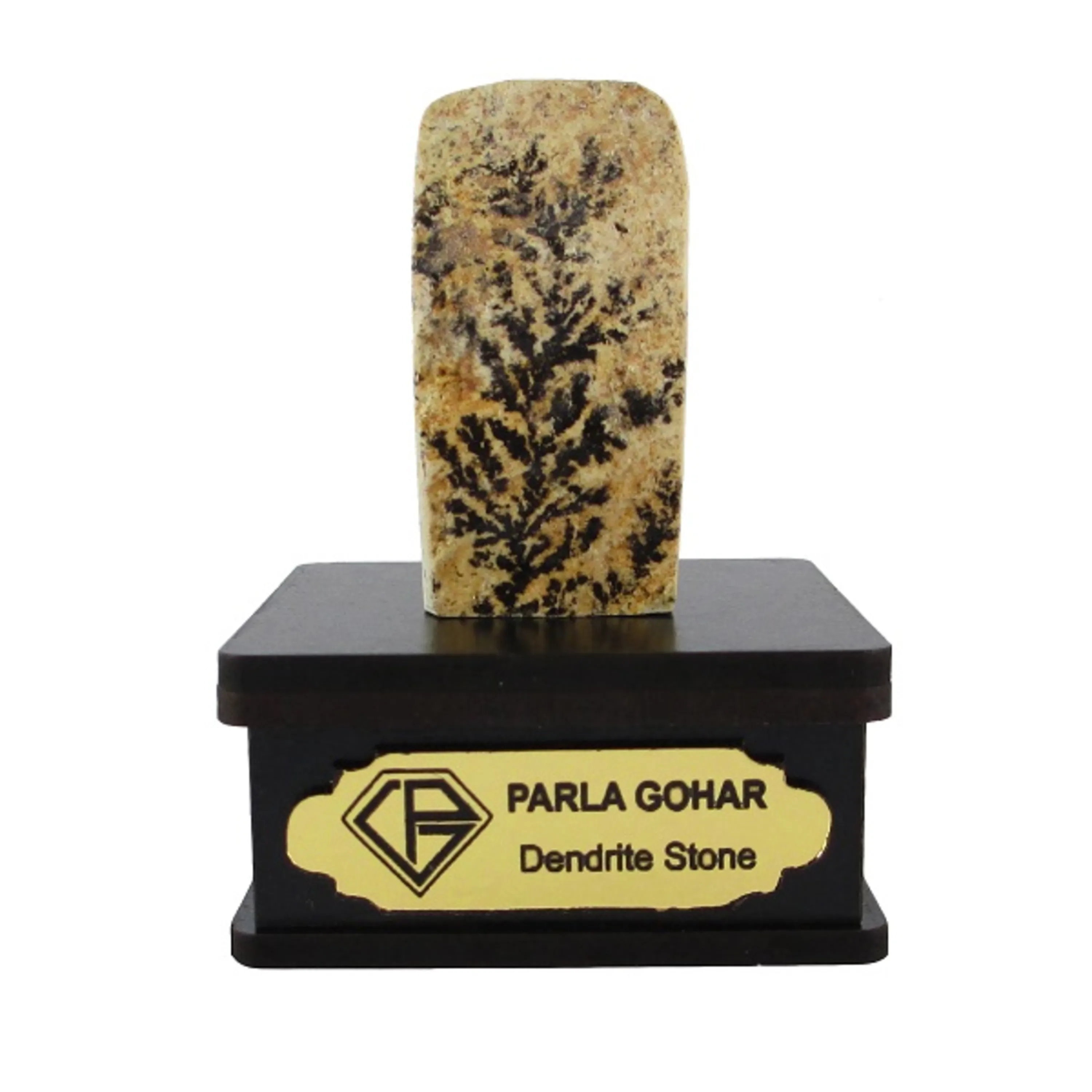 شجر راف کد 2338